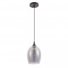Подвесной светильник ARTE Lamp A4344SP-1BK