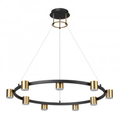 Подвесная люстра LUMION 6532/58L