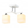 Накладной светильник Ambrella Light TR303111