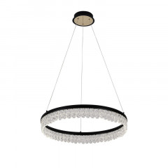 Подвесная люстра F-Promo 4187-1P