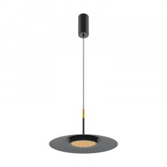 Подвесной светильник Maytoni MOD041PL-L15B3K1