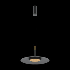 Подвесной светильник Maytoni MOD041PL-L15B3K1