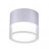 Накладной светильник Crystal Lux CLT 139C80 CH 4000K