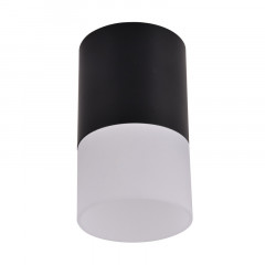 Накладной светильник Favourite 3070-1C