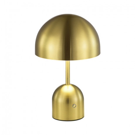 Настольная лампа Evoluce SLE1806-204-01