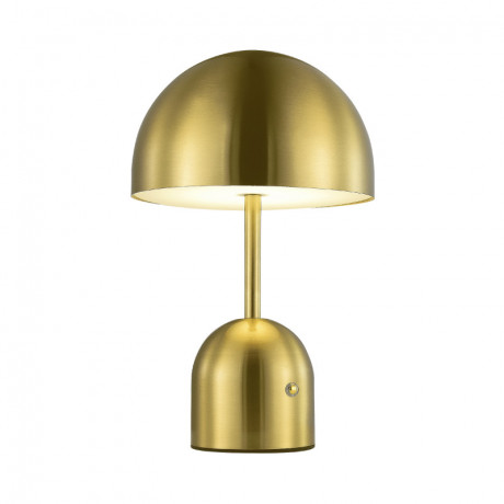 Настольная лампа Evoluce SLE1806-204-01