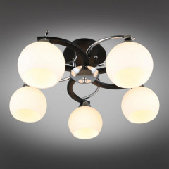 Накладная люстра Omnilux OML-25407-05