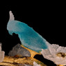Подвесная люстра Fluorite FL1099-24P