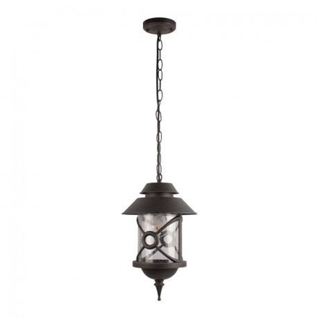 Подвесной уличный светильник LOFT IT 100021P