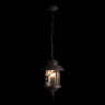 Подвесной уличный светильник LOFT IT 100021P