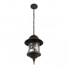 Подвесной уличный светильник LOFT IT 100021P