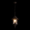 Подвесной уличный светильник LOFT IT 100021P