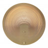 Бра ST-Luce SL6900.501.16