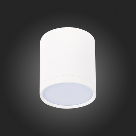 Накладной светильник ST-Luce ST113.542.05