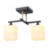 Накладной светильник Ambrella Light TR303112
