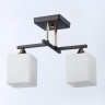 Накладной светильник Ambrella Light TR303112