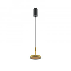 Подвесной светильник Maytoni MOD041PL-L15G3K