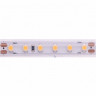 Лента DesignLed DSG3120-24-WW-65