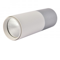 Накладной светильник Favourite 3071-1C