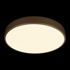 Накладной светильник LOFT IT 10228/A