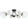 Накладная люстра ARTE Lamp A2706PL-8CK