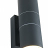 Светильник настенный ARTE Lamp A3302AL-2GY