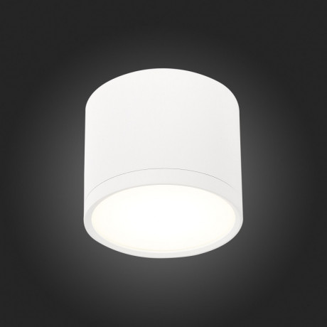 Накладной светильник ST-Luce ST113.542.09