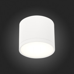 Накладной светильник ST-Luce ST113.542.09