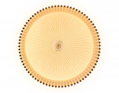 Накладной светильник Ambrella Light FF95