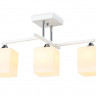 Накладной светильник Ambrella Light TR303113