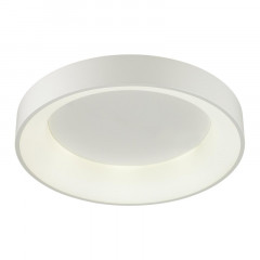 Накладной светильник Odeon Light 4062/50CL