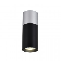 Накладной светильник Favourite 3072-1C