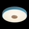 Потолочный детский светильник LOFT IT 10003/24 Blue