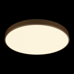 Накладной светильник LOFT IT 10228/B