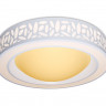 Накладной светильник Ambrella Light F210