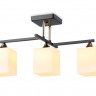 Накладной светильник Ambrella Light TR303114