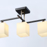 Накладной светильник Ambrella Light TR303114