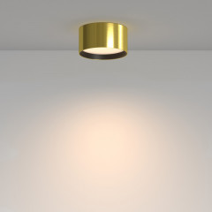 Накладной светильник Maytoni Technical C091CL-12W3K-BS