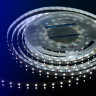 Лента DesignLed DSG360-12-W-33