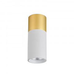 Накладной светильник Favourite 3073-1C