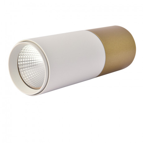 Накладной светильник Favourite 3073-1C