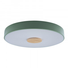 Потолочный детский светильник LOFT IT 10003/24 Green