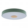 Потолочный детский светильник LOFT IT 10003/24 Green