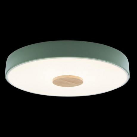 Потолочный детский светильник LOFT IT 10003/24 Green