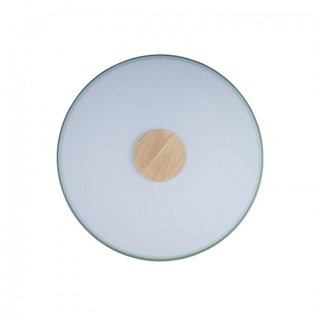 Потолочный детский светильник LOFT IT 10003/24 Green