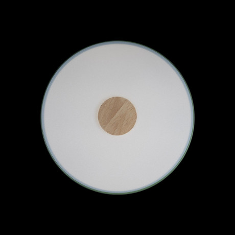 Потолочный детский светильник LOFT IT 10003/24 Green