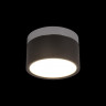 Накладной светильник LOFT IT 10179/12 Black