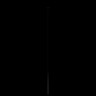 Подвесной светильник LOFT IT 10333/500 Black