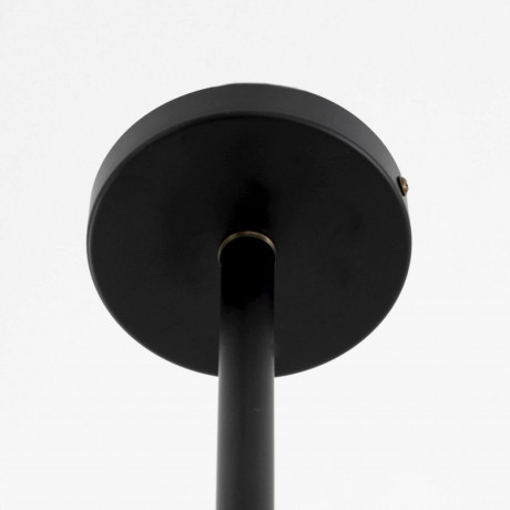 Люстра на штанге Citilux CL105295