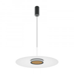 Подвесной светильник Maytoni MOD041PL-L15W3K1